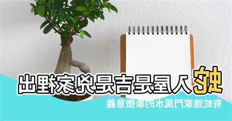 家裡有蛇 風水